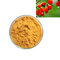 ISO factory pure Natural Schisandra fruit Extract powder Schisandra Extract powder from China supplier