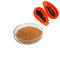 ISO factory 100% natural organic Papaya fruit powder and Papaya extract powder free sample supplier