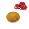ISO factory 100% pure Natural pomegranate peel powder pomegranate seed extract powder from China supplier