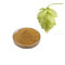 ISO factory 100% pure natural hops extracts hops extract powder hops powder free sample fast delivery supplier