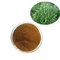 Top quality nigella sativa seeds extracts nigella sativa extract powder from ISO factory supplier