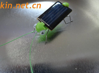China Solar locust, Solar grasshopper (Solar Toys) toys-solar, Solar Toys,Minimum Quantity More supplier