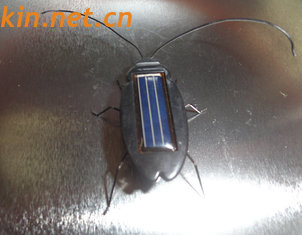 China Solar roach toys, Solar Cockroach toys, Solar Toys, Minimum Quantity More than 10 pcs supplier