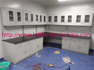 China Good Profesional Designing And Drawing Modular  Steel  Lab  Benches Fume Hoods Fitting For  Chemical Laboratory supplier