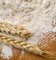 Nissan 5000kg corn flour mill Wheat flour processing machine supplier