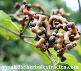Hovenia Dulcis Extract Powder, Semen Hoveniae Extract,10:1 TLC, Chinese manufacturer,TCM Extract,  Shaanxi Yongyuan Bio