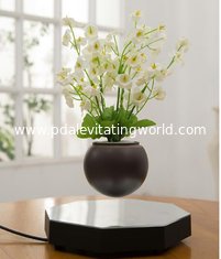 new hexagon magnetic floating levitate bottom air bonsai plant flower pot