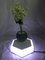 new christmas gift magnetic floating levitation air bonsai potted plant trees
