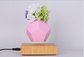 new magnetic floating levitation air bonsai pot planter tree flowerpot vase gift