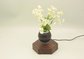 new hexagon wooden magnetic floating levitation air bonsai pot tree flowerpot