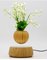 360 rotating wooden  magnetic floating levitatING air bonsai tree plant for decor gift