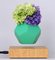 Hot Sale Levitating Air Bonsai Pot Rotation Planters Magnetic floating Flower pot