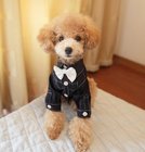 100% Cotton Fabric dog Formal Wear / Toy Poodle Clothes For Wedding Black Color