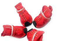 Pet dog shoes for winter