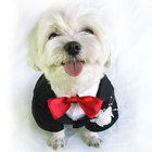 100% cotton Doggie Tuxedo Costume / tuxedo shirt for dogs