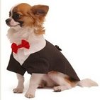 Handsome striped Doggie Tuxedo Costume with collar detail and red bow tie 14" 22" 16"