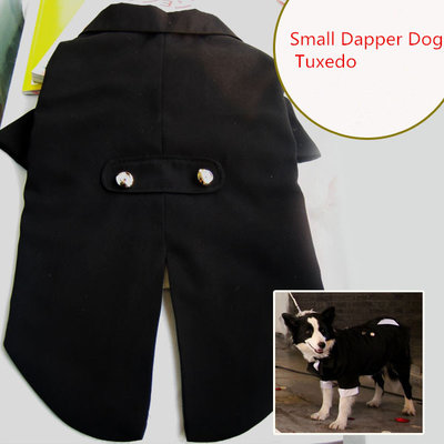 Small Dapper Dog Tuxedo Costume Rubies Pet Costumes Formal Wear