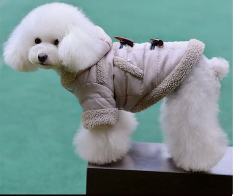 OEM Personalized Dog Clothes for Winter , PET Apparel Size XX XL