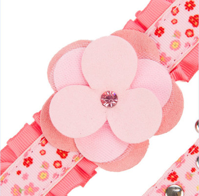 Personalized dog collar and Martha Stewart Pets Pink Floral Ruffle Leash for Girl