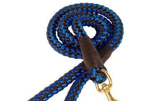 Outdoor Rope Dog Leash for Pet large dogs Blue Color