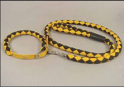 Customized long polyester rope dog leash Wear proof , rustproof 1200mm ,1500mm
