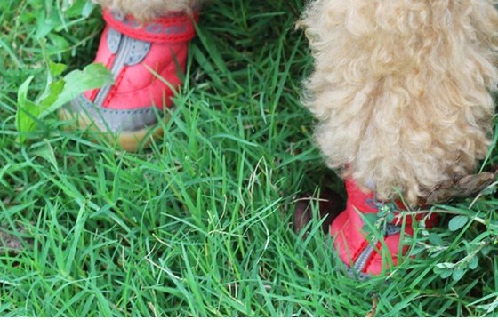 Colorful Eco-Friendly PET S / M / XL Dog Shoes with canvas + PVC