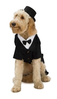 Small Dapper Pet Tuxedo Costume Rubies Dog Formal Wear Costumes XX-Small to XXX-Large