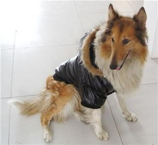 Pet Large Breed Dog Clothes collie Winter Coat Hoodie Ski jacket black color