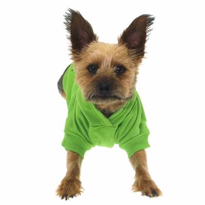 Green Zack & Zoey Hooded Small Breed Dog Clothes Sweatshirts for miniature pinscher