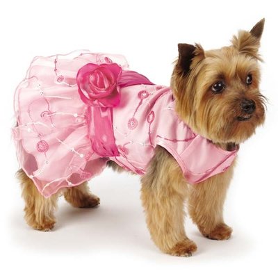 Elegance Rosette Pet Dress Small Breed Dog Clothes Pink for terrier