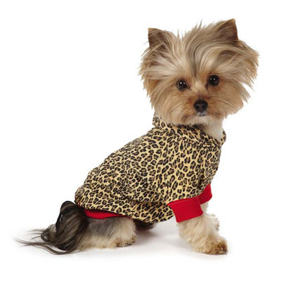 M. Isaac Mizrahi Leopard Dog Pullover / hoodie cotton for Small Breed Dog Yorkshire Terriers
