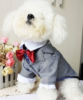 Polyester Dog Formal Wear For Small / Big Dog Clothes For Spring / Summer