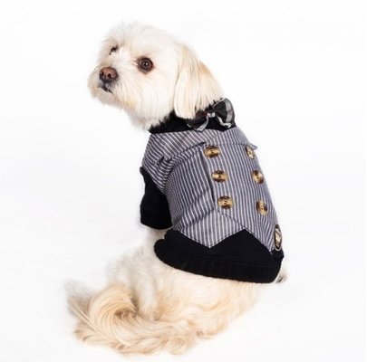 Apparel for dogs terrier , dachshund Glamour Dapper Vest Jackets