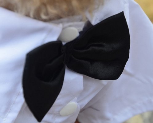 Customized White Black Boy Dog Pet Wedding Party Dress Jackets OEM / ODM