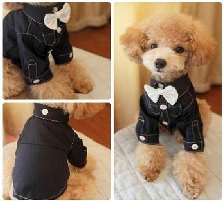 Cotton fabric Doggie Tuxedo Costume T-Shirts Pet Apparel for small dog breeds