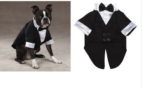 XX-Small Wedding Doggie Tuxedo Costume For Small Dogs Formal Wear Comfortable