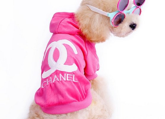 Cotton Bichon Frise Dog Hooded Sweatshirts Black , Pink color girl dog clothes