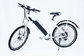 White Water Proof  Electric City Bike With Fender,250w 36v, 7 speed , front suspemsion supplier