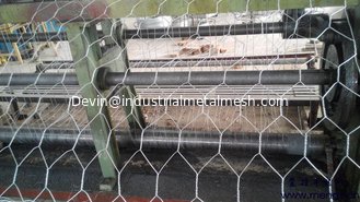 China Shipping 3/8&quot; Chicken Wire Fencing Galvanized and PVC Coated supplier