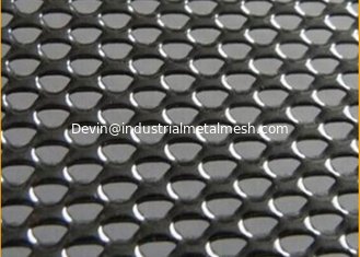 China Dva Limited Vision Mesh For Grille Security Doors supplier