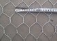 hot dipped galvanized 3/4&quot; inch openning Hexagonal Wire Mesh 10mm supplier