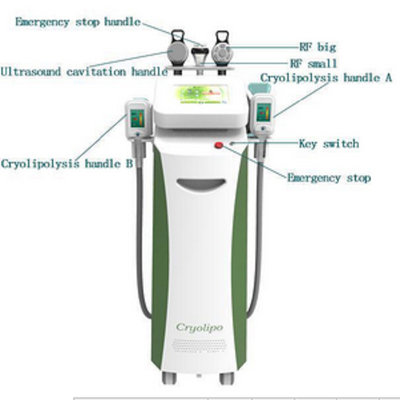 2017 Newest Body Slimming Machine Hot Selling Cryolipolysis fat freezing equipment