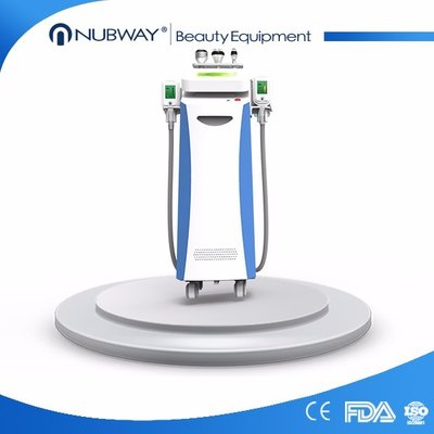 Beauty Equipment Cryolipo fat freezing+rf+cavitation cryolipolysis weight loss machine