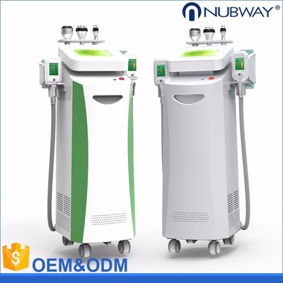 Beauty Equipment Cryolipo fat freezing+rf+cavitation cryolipolysis weight loss machine