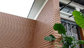 Composite wood decking wall panel/composite board/Exterior WPC Wall Cladding supplier