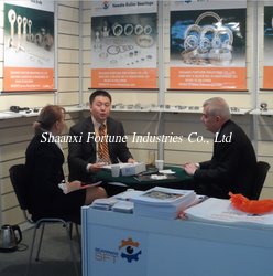 Shaanxi Fortune Industries Co., Ltd