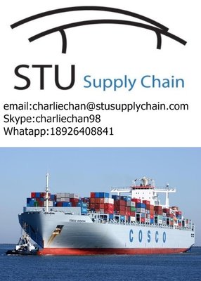 China FCL /LCL Shipping Services from China to VITORIA,Brazil supplier