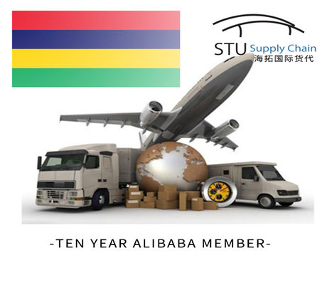 Professional AIR SEA logistics Service From China To Philippines Efficient Service supplier