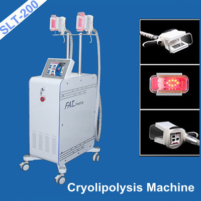 China Vaccum Coolsculpting Fat Freezing Equipment / Cryolipolysis Weight Loss Machine supplier