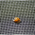 Stainless Steel Insect Screen Mesh|14~20 mesh by Stainless Steel Wire For Window/Door